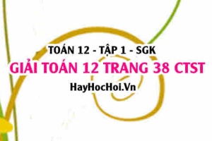 Giải Toán 12 trang 38 tập 1 Chân trời sáng tạo